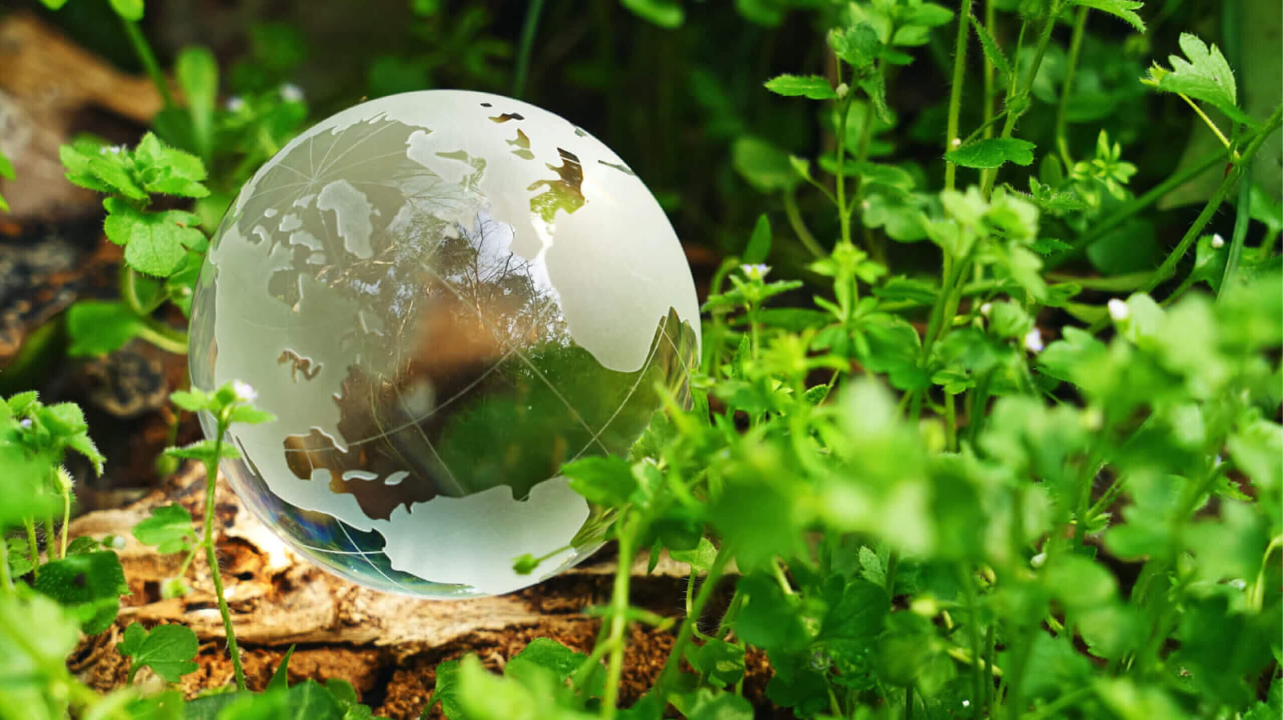 エコフレンドリー